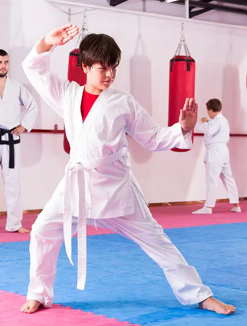 Bonita Springs kids martial arts Bonita Springs kids martial arts